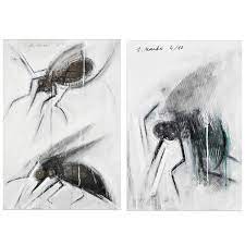 MOSCHE NEL LATTE, acrilico su carta, 80x100 cm, 2010 e MOSCA NEL LATTE, acrilico su carta, 50x70 cm, 2010